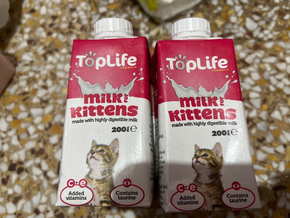 Top life kitten milk cheap