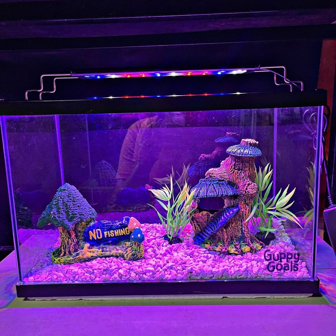 Tree Top themed aquarium setup, Pet Supplies, Homes & Other Pet