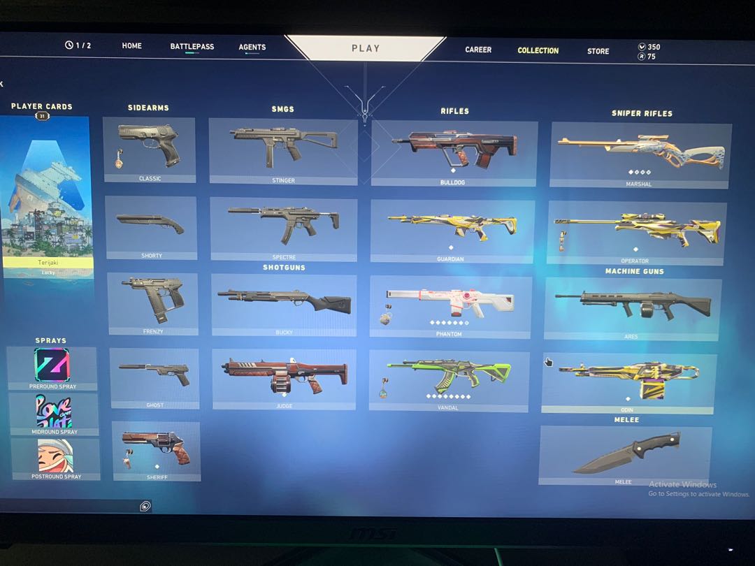 VALORANT ACCOUNT FOR SALE, Video Gaming, Gaming Accessories, Game Gift