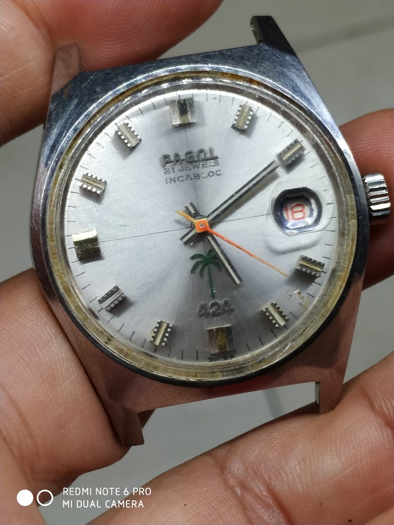 Pagol 2025 vintage watch