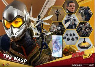 1/6 hot toys ant man and the wasp