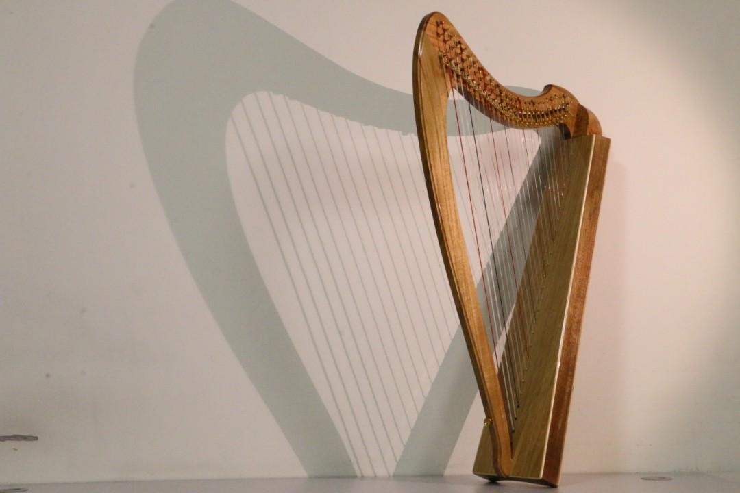 Sell4Me 26 string Harp w t Custom bag ALL ACCESSORIES Hobbies