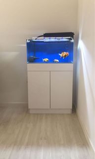 (Category: ) located in . Submitted by n.issac (Listing ID 1121825197, Image 1). Description: .