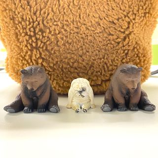 （分類：）位於 。 由 hebe.12 提交（商品編號 1121885760，圖片 1）。簡介： 。