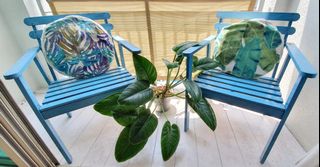 (Category: ) located in . Submitted by flipflops.meltemi (Listing ID 1121435087, Image 1). Description: .