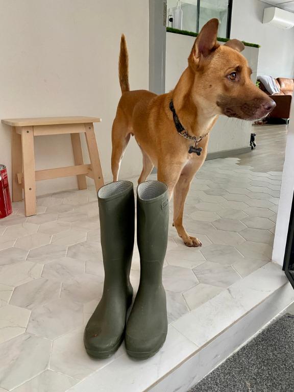 Decathlon rubber boots dark green