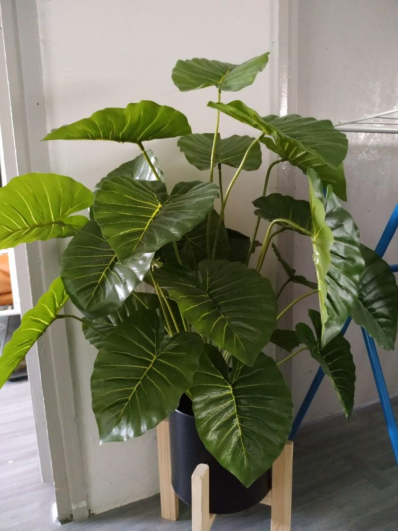 Fake Indoor Plant for Sale, Furniture & Home Living, Home Decor, Artificial Plants & Flowers on