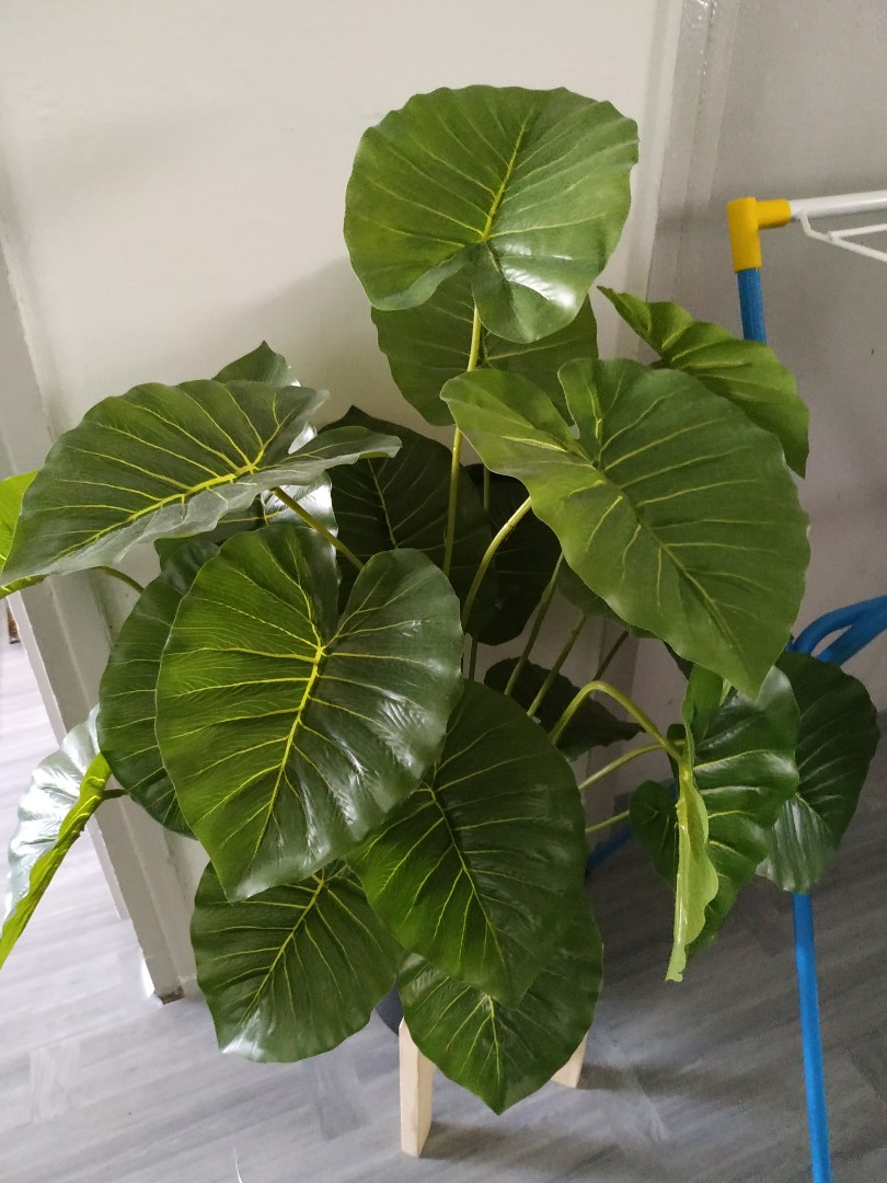 Fake Indoor Plant for Sale, Furniture & Home Living, Home Decor, Artificial Plants & Flowers on