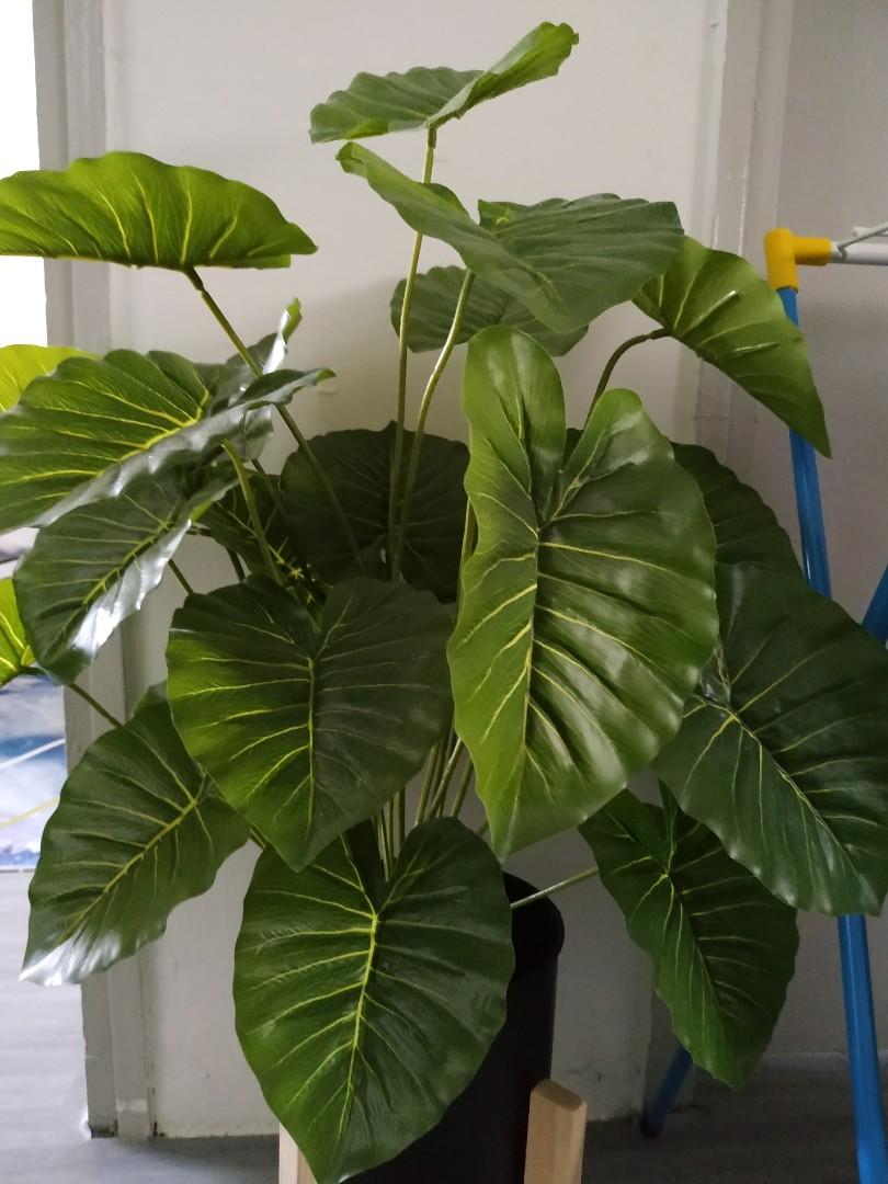 Fake Indoor Plant for Sale, Furniture & Home Living, Home Decor