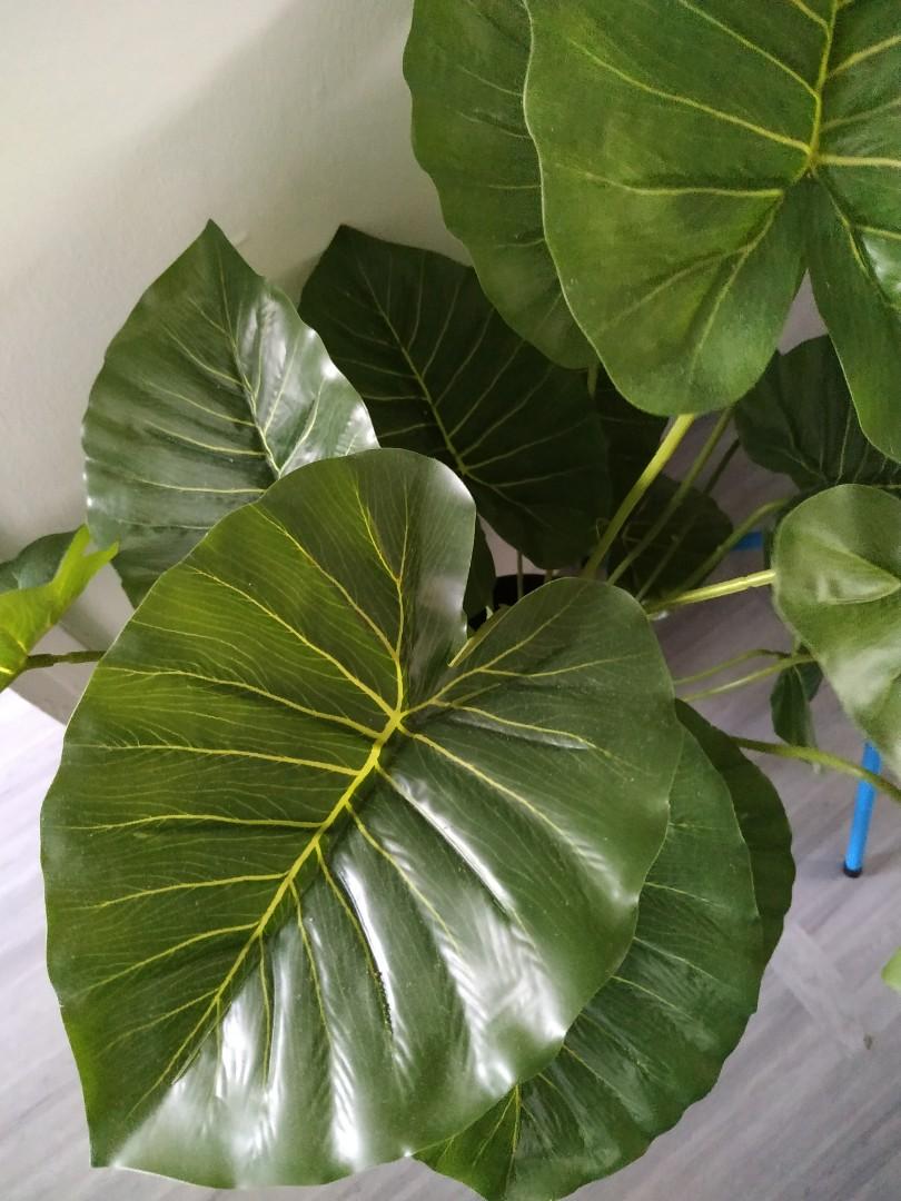 Fake Indoor Plant for Sale, Furniture & Home Living, Home Decor