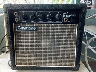 Guyatone Guitar Tube Amplifier Rare Japan