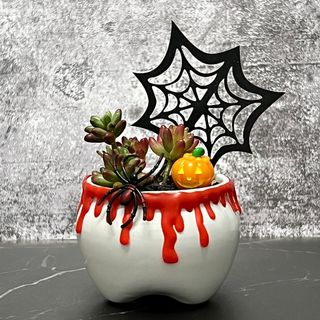 (Category: ) located in . Submitted by plantspree (Listing ID 1121877216, Image 1). Description: .