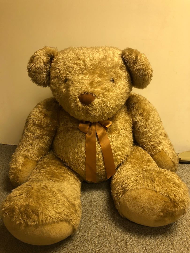 Human sized teddy bear, Hobbies & Toys, Toys & Games on Carousell