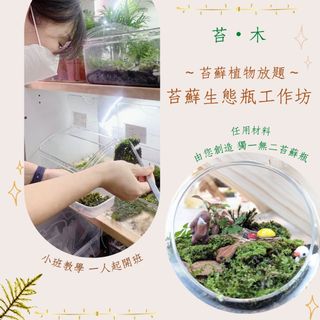 （分類：）位於 。 由 mossy_forestation 提交（商品編號 1122027036，圖片 1）。簡介： 。