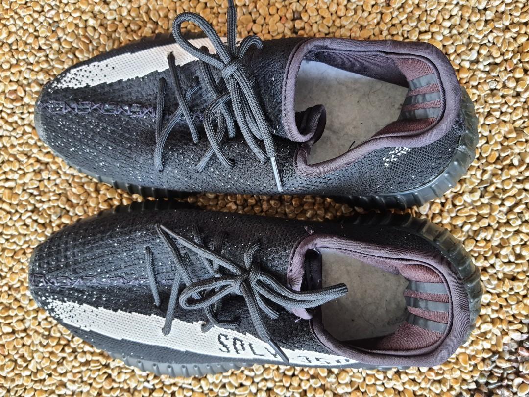 splv trainers