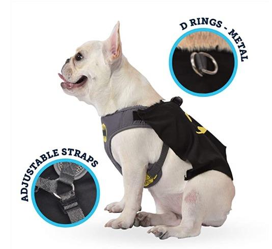 Dc comics dog harness cheap