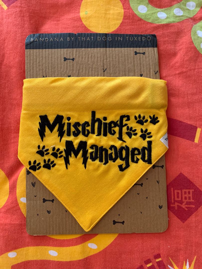 Harry Potter dog collar and bandana, Pet Supplies, Homes & Other Pet