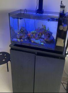 Fluval 13.5 evo set + Cabinet + Fluval Mini Skimmer Reef tank Pico tank Marine tank fish tank aquarium