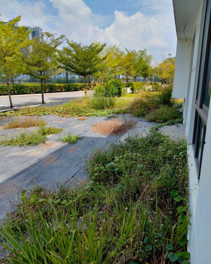 Freehold Corner Lot Triple Storey Terrace House For Sell Lake Point