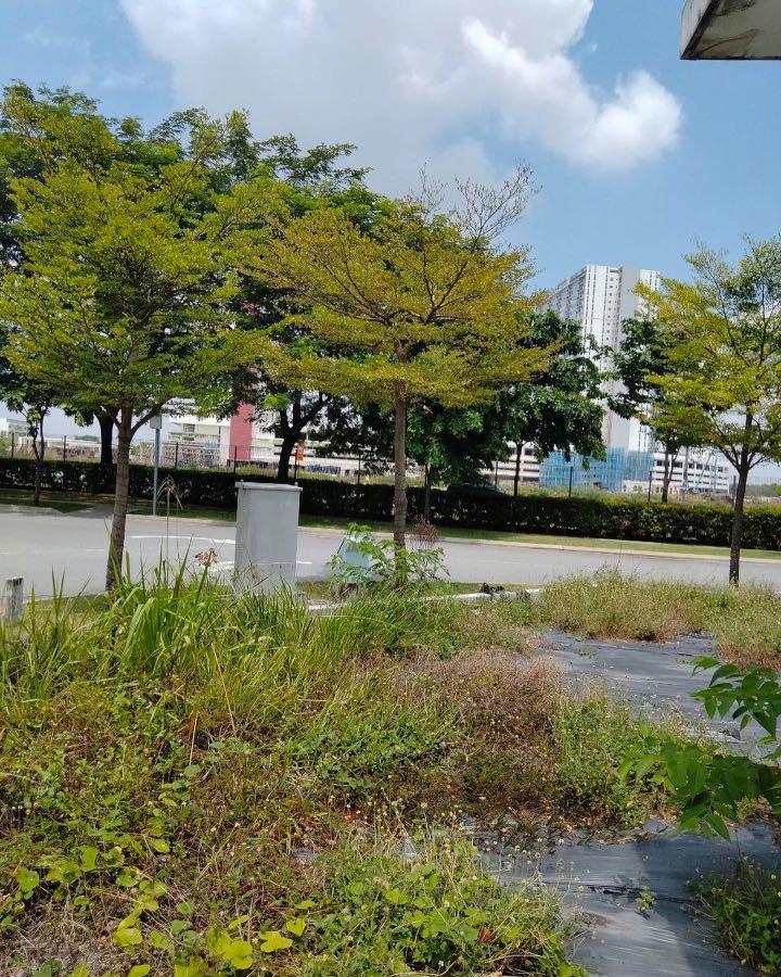 Freehold Corner Lot Triple Storey Terrace House For Sell Lake Point