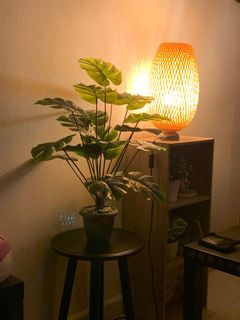 (Category: ) located in . Submitted by apollo101 (Listing ID 1122293661, Image 1). Description: .