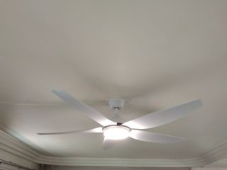 (Category: ) located in . Submitted by eddy72_2024 (Listing ID 1122241457, Image 1). Description: .