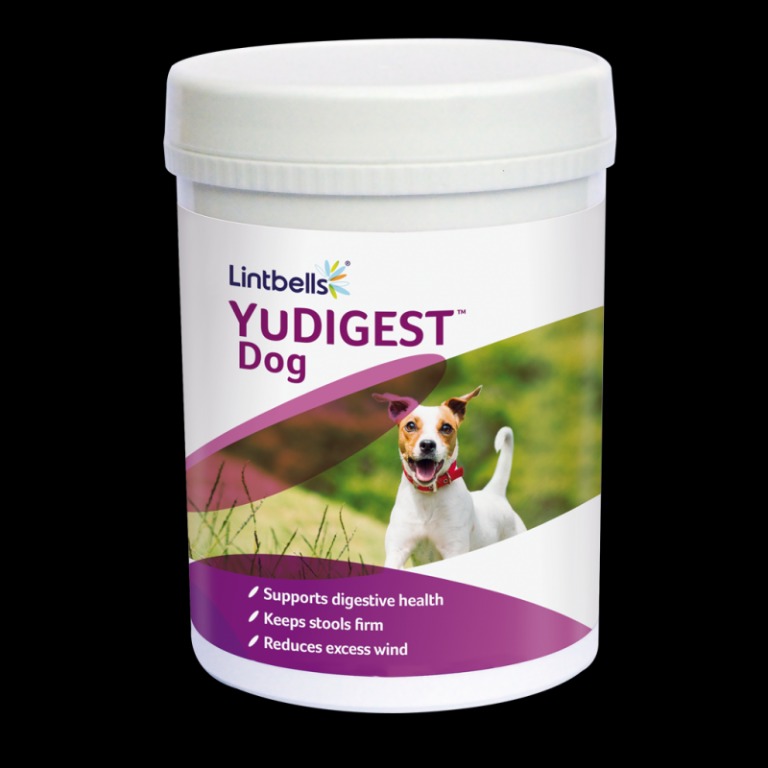 CLEARANCE Lintbells YuDIGEST Dog 300 Tabletes D110 1122 CL Pet Supplies Health Grooming on Carousell