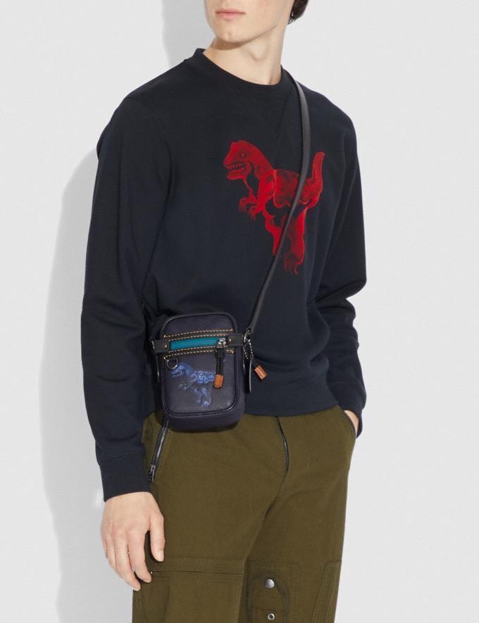 Coach dylan 10 bag clearance