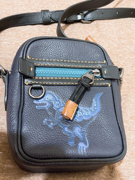 Coach dylan 10 best sale bag