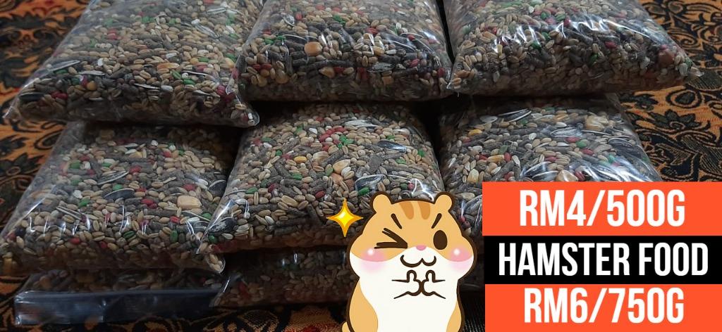 Mix Seed for Pet Hamsters/Sugar Gliders/Birds, Pet Supplies, Pet 