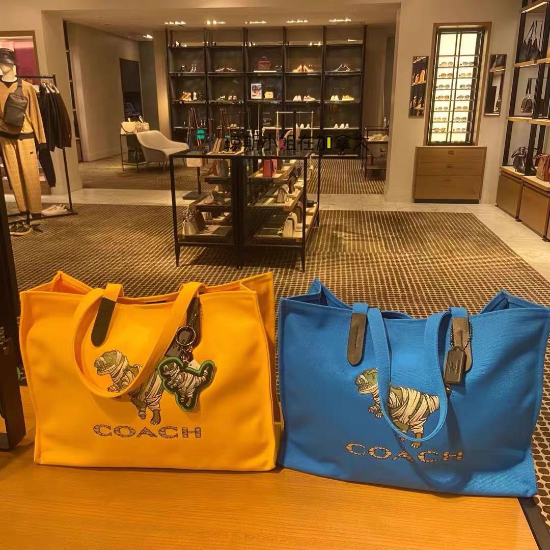 PREORDER COACH X MICHAEL B. JORDAN 100 PERCENT RECYCLED TOTE 42