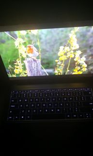 (Category: ) located in . Submitted by roysee90 (Listing ID 1122209570, Image 1). Description: .