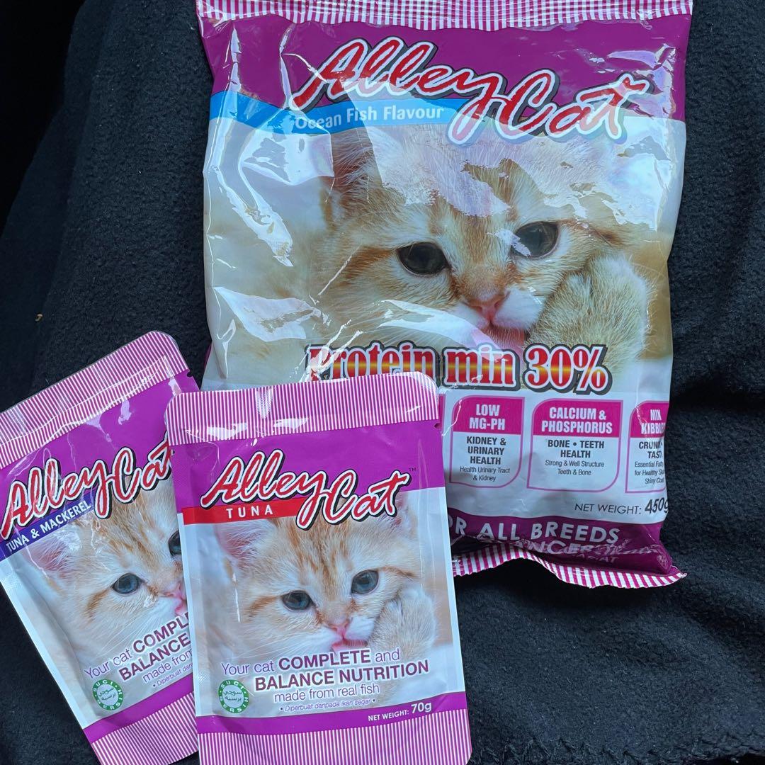 3 packs Cat Food, Pet Supplies, Pet Food on Carousell