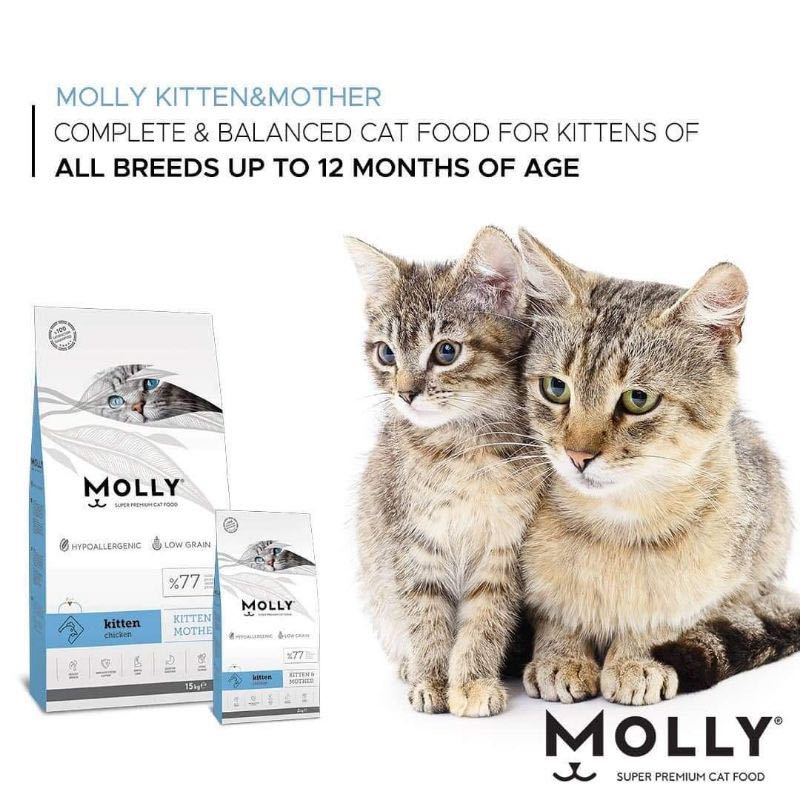 Molly cat food