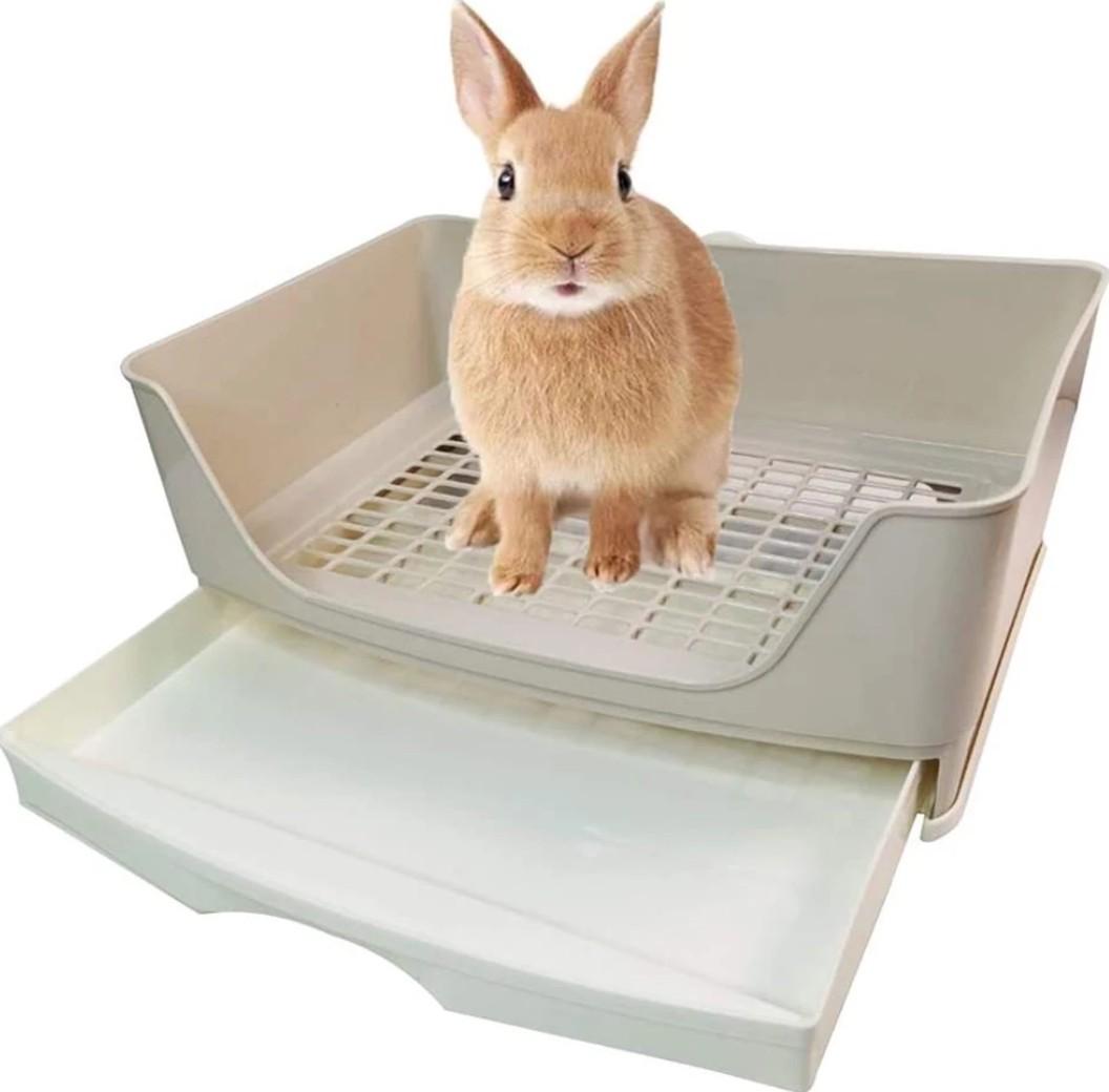 BARU litter box kelinci