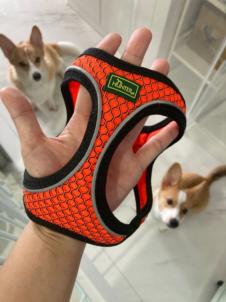 hunter dog harness