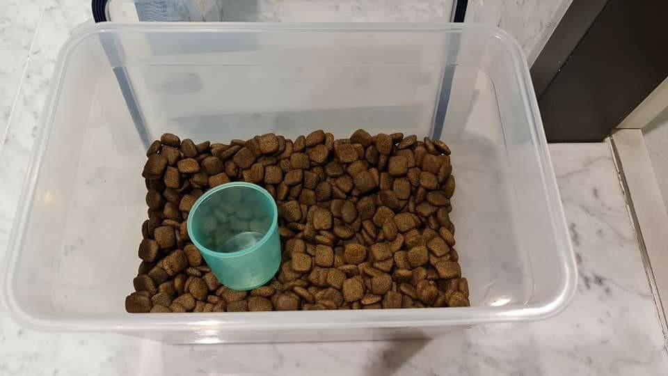 FREE Canagan Grass Fed Lamb Dry Dog Food Kibble Pet Supplies Pet