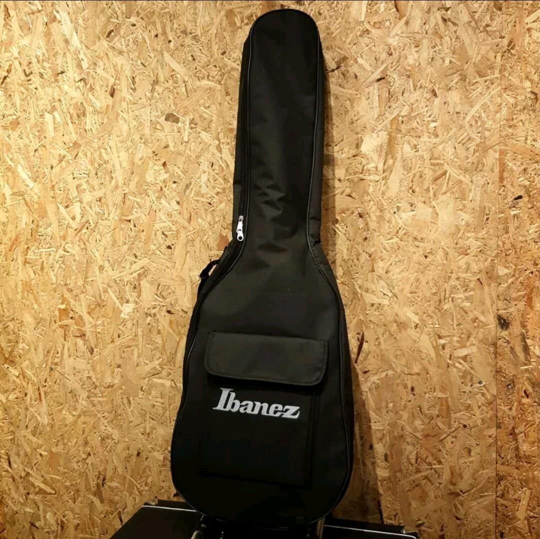 Ibanez soft sales guitar case