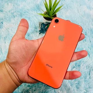 (Category: ) located in . Submitted by syarhan99 (Listing ID 1122423660, Image 1). Description: .