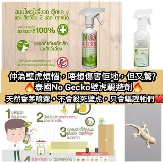 （分類：）位於 。 由 letsnowsnow 提交（商品編號 1122510937，圖片 1）。簡介： 。