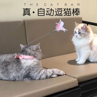 (Category: ) located in . Submitted by shuyi16 (Listing ID 1122359648, Image 1). Description: .