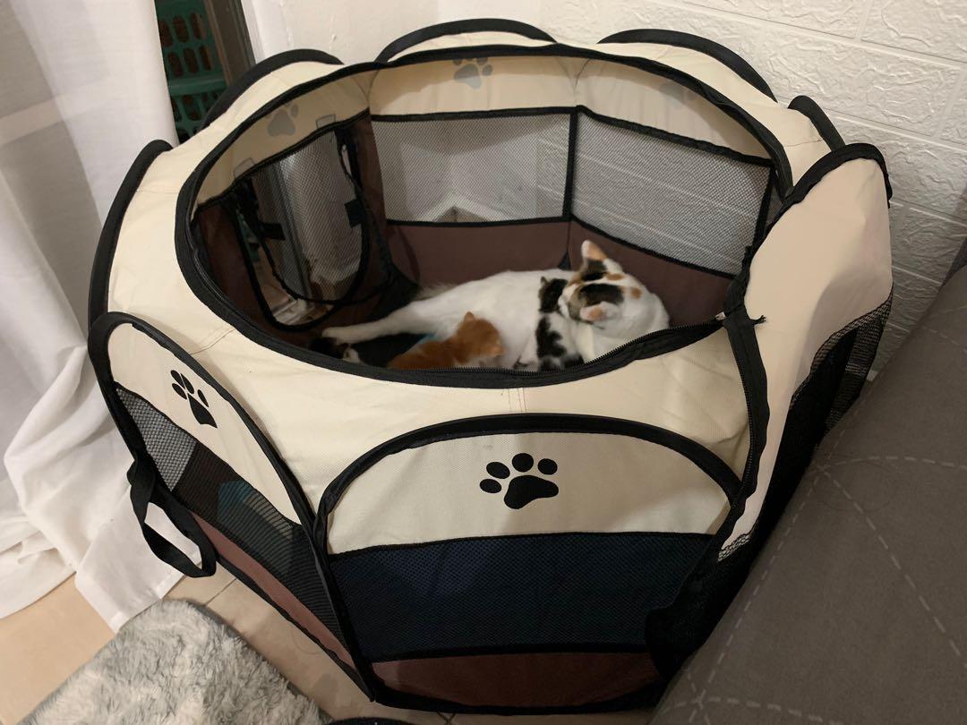 Pet tent cat dog