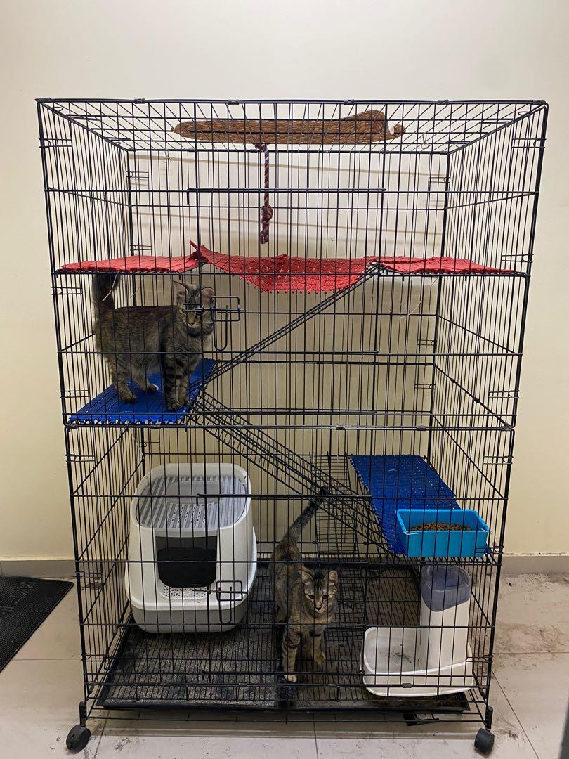 Sangkar Kucing Pet Supplies Pet Accessories On Carousell