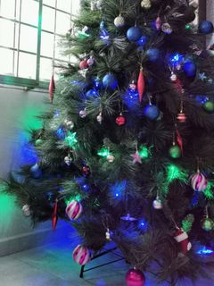 (Category: ) located in . Submitted by bonica (Listing ID 41324858, Image 1). Description: .
