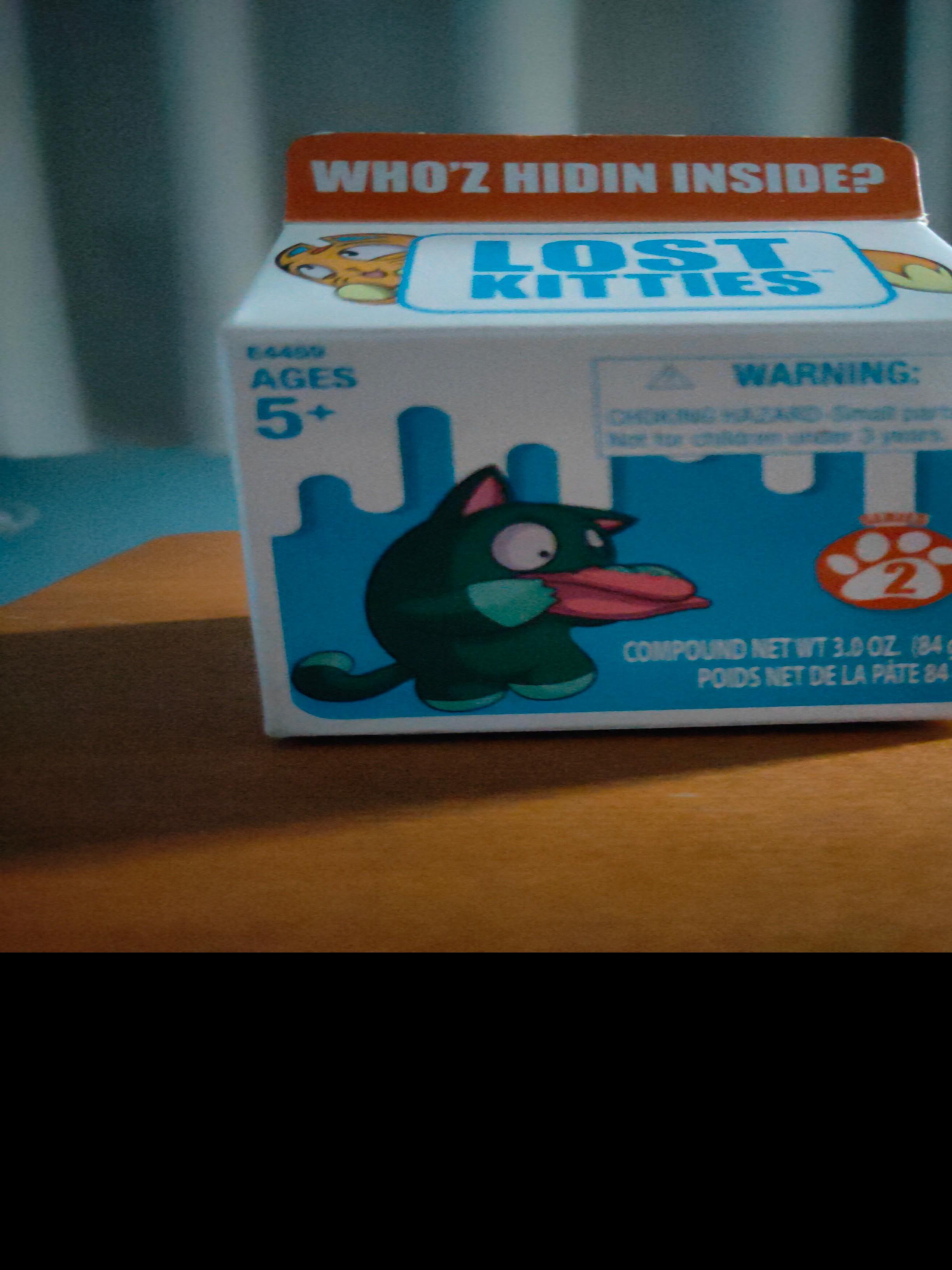 Lost Kitties Blind Box