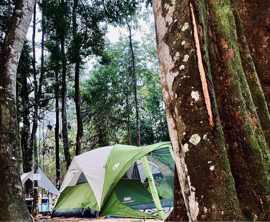 Tent Coleman Evanston 6 Person Screened Porch Dome Tent , Sports