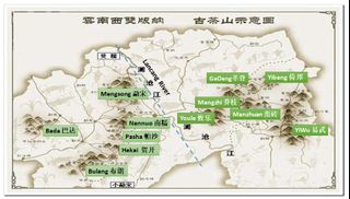 Yunnan Pu Erh Collection item 1