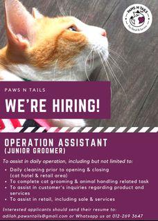 Paws N Tails S Items For Sale On Carousell