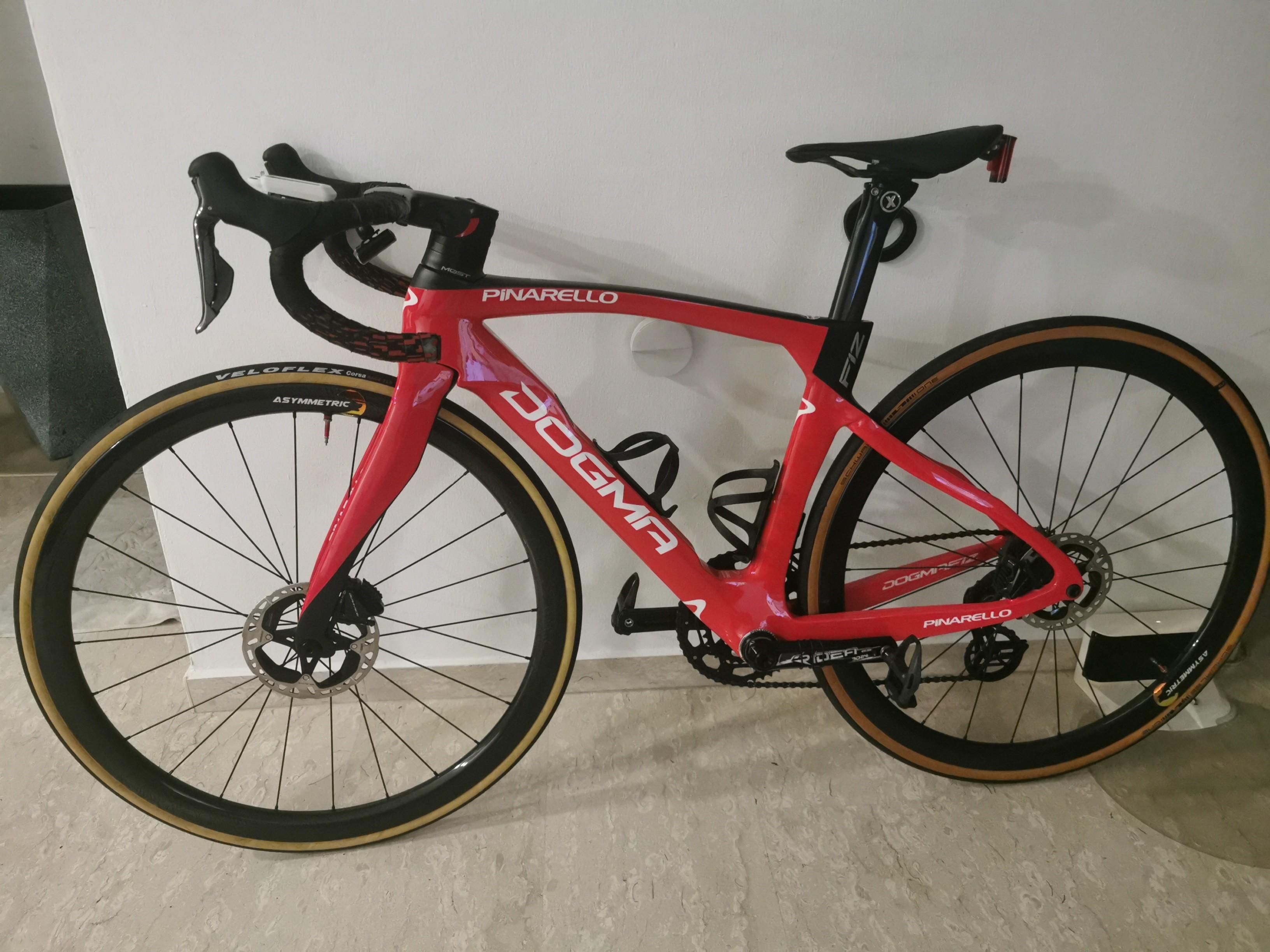 Dogma f12 sales size guide