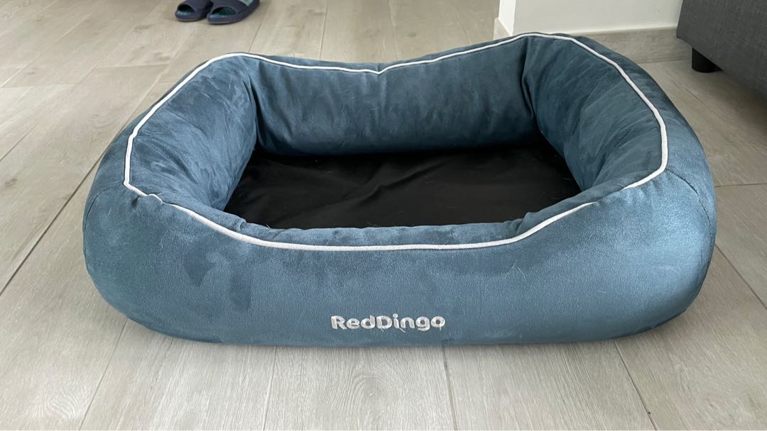 red dingo bed
